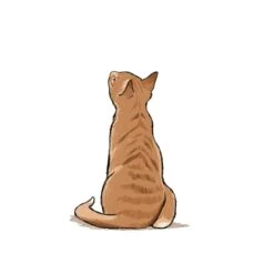 10 Step Drawing: Cats - J. Lecouffe -Painting Supplies 10 Step Drawing Cats 1