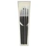 Pro Arte Scholar Brush Set - 34WB