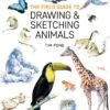 The Field Guide To Drawing And Sketching Animals - T. Pond