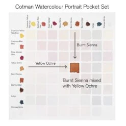 Winsor & Newton Cotman Watercolour PORTRAIT Pocket Set 17 Winsor & Newton Cotman Watercolour PORTRAIT Pocket Set -Painting Supplies 884955081112 W NCOTMANWATERCOLOUR8HPPORTRAITPOCKETSET TINTSGUIDE1 .TIF b2f56d49 1d8b 4725 b8a9 82504146e6f8