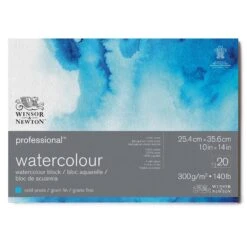 Winsor & Newton Professional Water Colour Blocks 10 Winsor & Newton Professional Water Colour Blocks -Painting Supplies 91174
