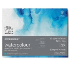 Winsor & Newton Professional Water Colour Blocks 11 Winsor & Newton Professional Water Colour Blocks -Painting Supplies 91175