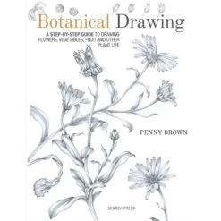 Botanical Drawing - P. Brown