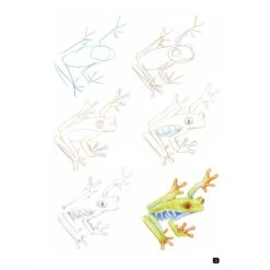 Draw 100: Animals - S. Hodge & J. Newey -Painting Supplies Draw 100 Animals 3