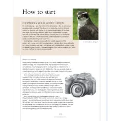 Drawing Birds - A. Forkner 7 Drawing Birds - A. Forkner -Painting Supplies Drawing Birds 3