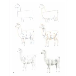 How To Draw: Farm Animals In Simple Steps - S. Hodge 6 How To Draw: Farm Animals In Simple Steps - S. Hodge -Painting Supplies How To Draw Farm Animals 3