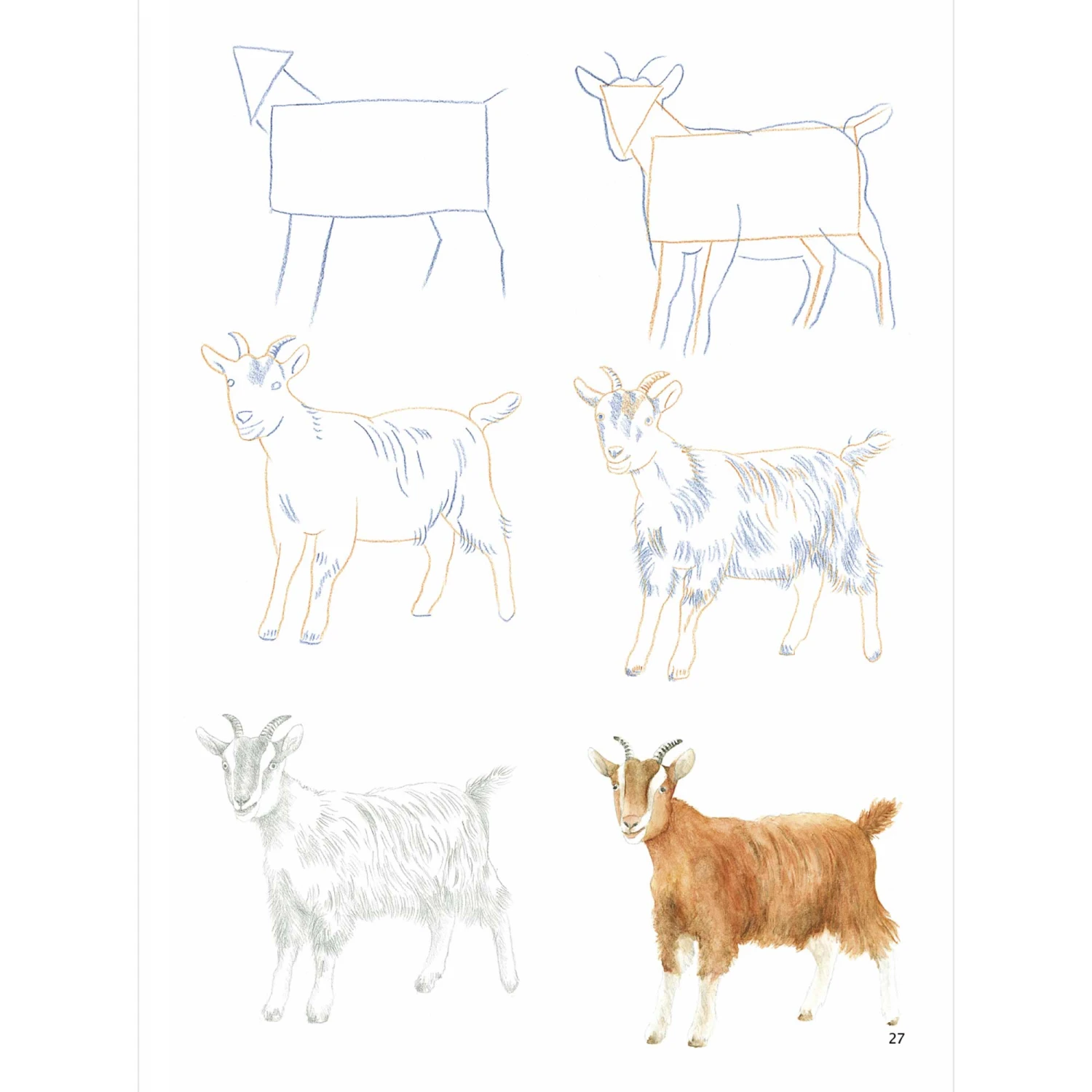 How To Draw: Farm Animals In Simple Steps - S. Hodge 4 How To Draw: Farm Animals In Simple Steps - S. Hodge - Image 4