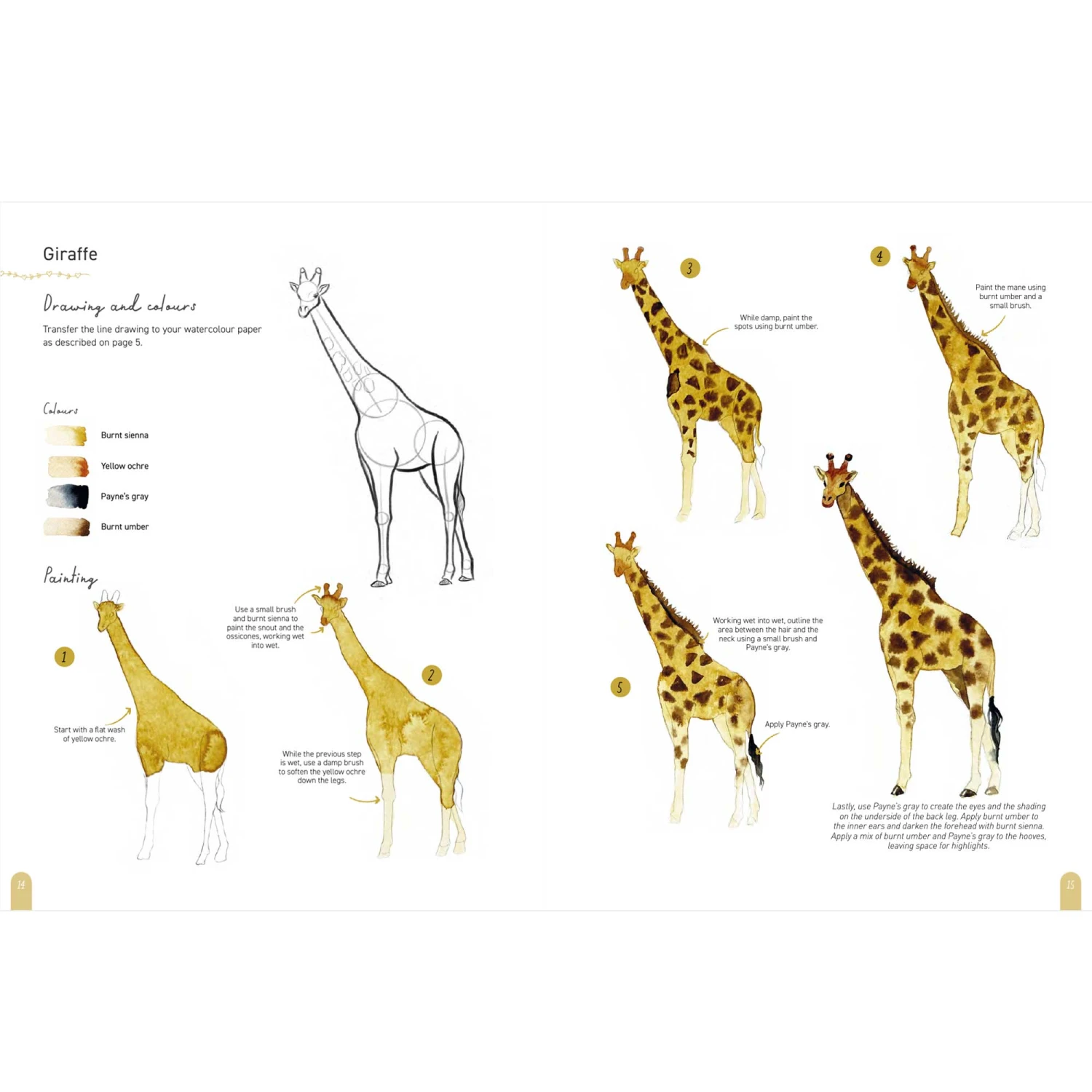 Paint 50: Watercolour Animals - M. Bakasova 2 Paint 50: Watercolour Animals - M. Bakasova - Image 2