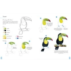 Paint 50: Watercolour Animals - M. Bakasova 7 Paint 50: Watercolour Animals - M. Bakasova -Painting Supplies Paint 50 Animals 4