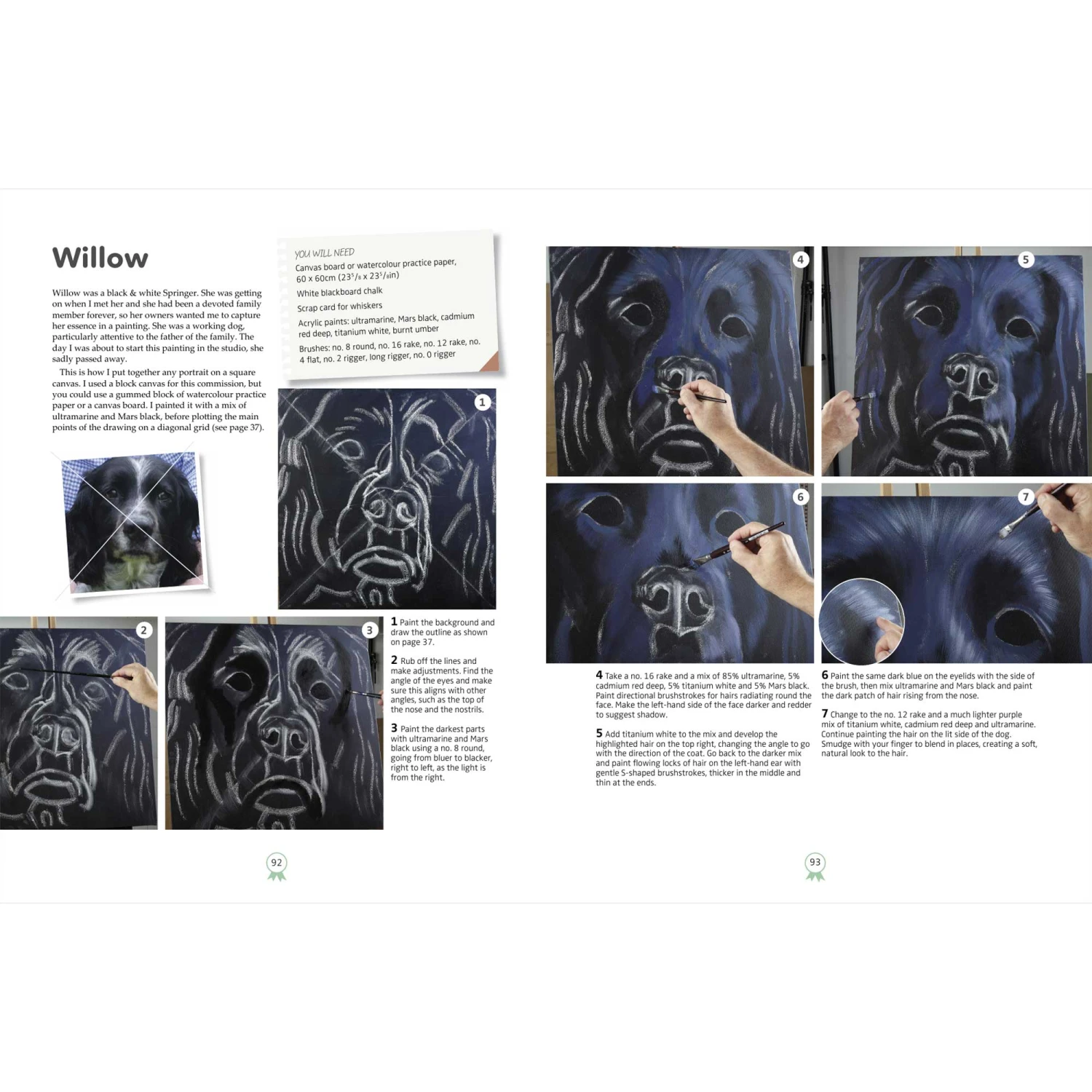 Painting Dog Portraits In Acrylics - D. White 3 Painting Dog Portraits In Acrylics - D. White - Image 3