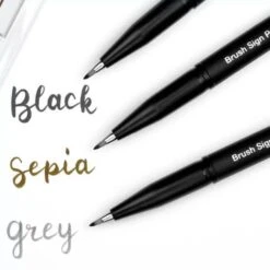 Pentel Pigment Brush Sign Pen - Set Of 5 -Painting Supplies Untitleddesign 2022 06 07T113804.316