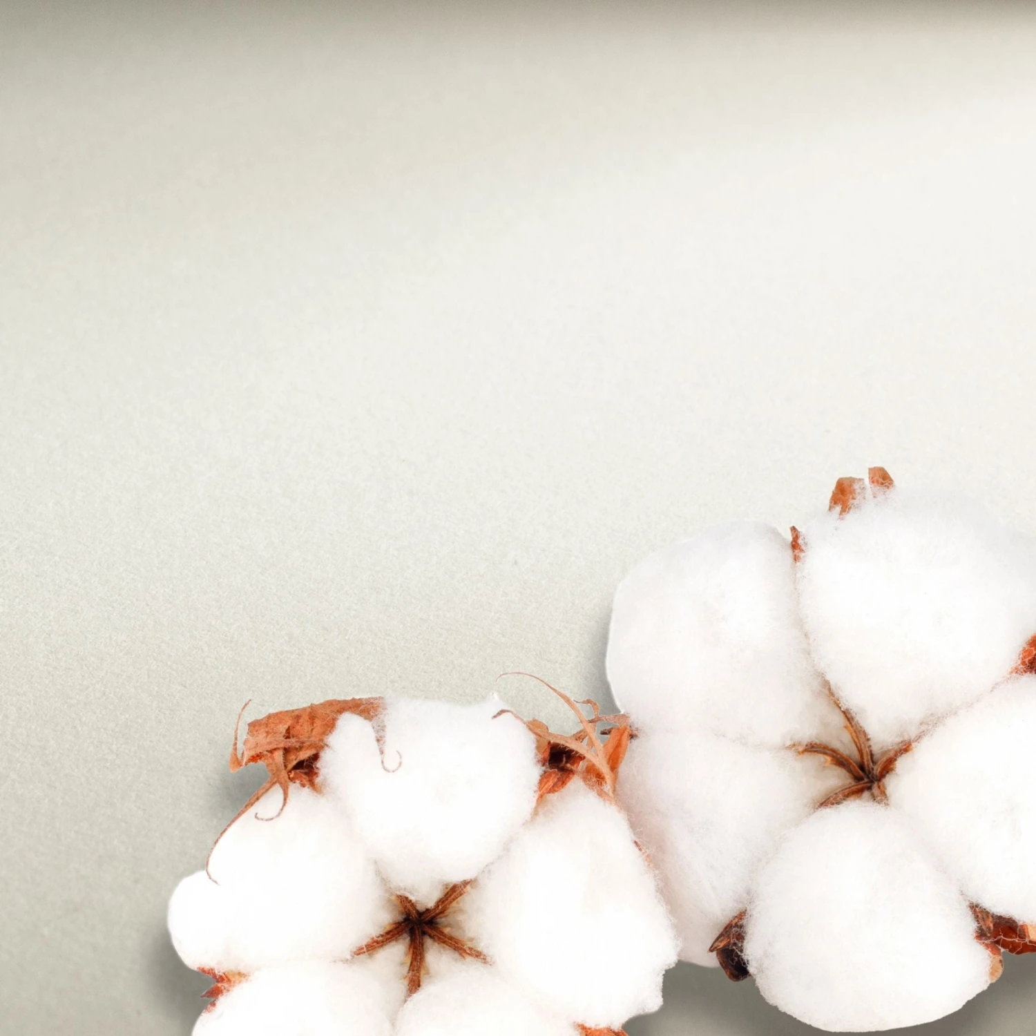 Hahnemühle The Collection Watercolour Paper Sheets - 640gsm - 5 Sheets - 56 X 76cm 2 Hahnemühle The Collection Watercolour Paper Sheets - 640gsm - 5 Sheets - 56 X 76cm - Image 2