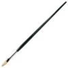 Winsor & Newton Winton Long Handled Hog Brush - Filbert