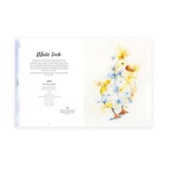 Painting With Brusho - J. Boon Thomas 6 Painting With Brusho - J. Boon Thomas -Painting Supplies brusho Inside book