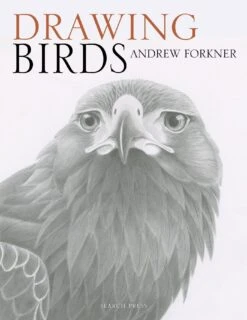 Drawing Birds - A. Forkner