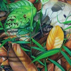 Faber-Castell Polychromos Pencils Set Of 60 - Includes A2 Art Storage Bag (RRP £14.25) 12 Faber-Castell Polychromos Pencils Set Of 60 - Includes A2 Art Storage Bag (RRP £14.25) -Painting Supplies example 4 1eaead4c f153 49e7 971d 31ebca3eaaa3