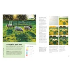 Paint 50 Landscapes By J. F. Dowden 6 Paint 50 Landscapes By J. F. Dowden -Painting Supplies landscapes sheep in pasture