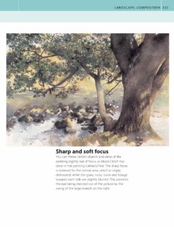 The Watercolour Artist's Bible - M. Scott -Painting Supplies page15 28690656 e475 486f 81c2 396d3e382539