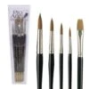 Pro Arte Prolene Brush Set Of 5 - W3