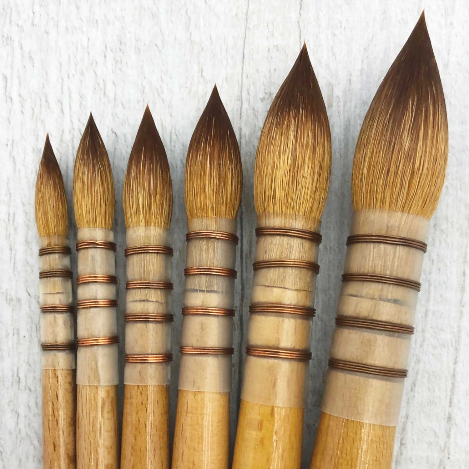 Pro Arte Sablesque Blended Mop Brush - Series 45 2 Pro Arte Sablesque Blended Mop Brush - Series 45 - Image 2